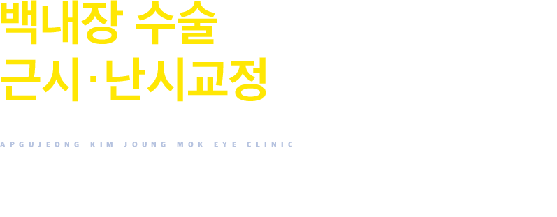 20년 경력